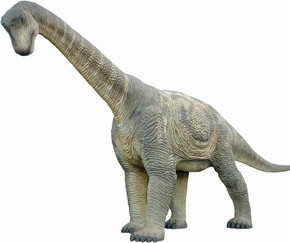 dinosaur replica