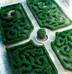 knot garden