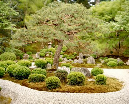 zen garden