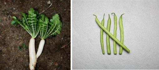 Easy to Grow Vegetables