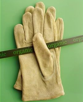 Organic Gardening Supplies